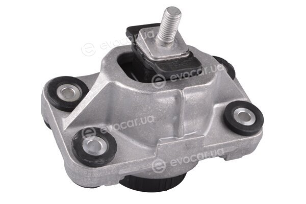 Tedgum TED25296