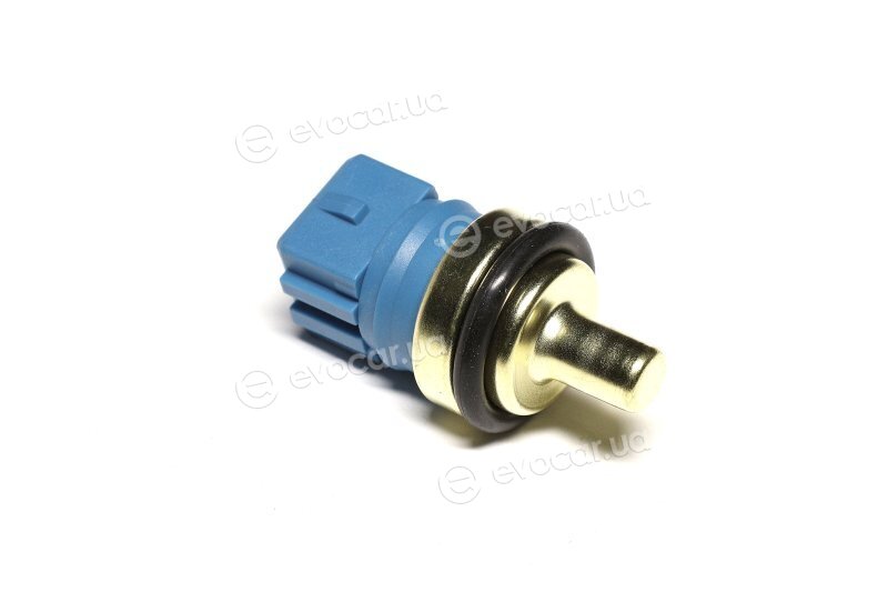 Sasic 3256007