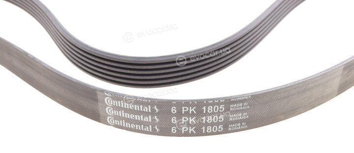 Continental 6PK1805