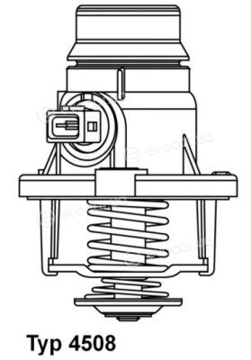 Wahler / BorgWarner 4508.101D