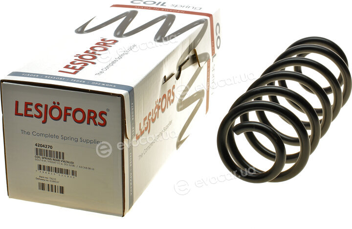 Lesjofors 4204270
