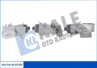 Kale 351290