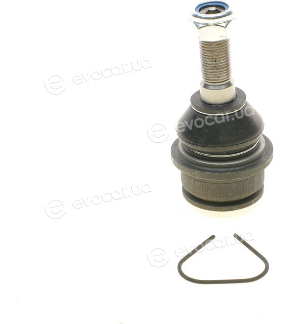 Solgy 203054