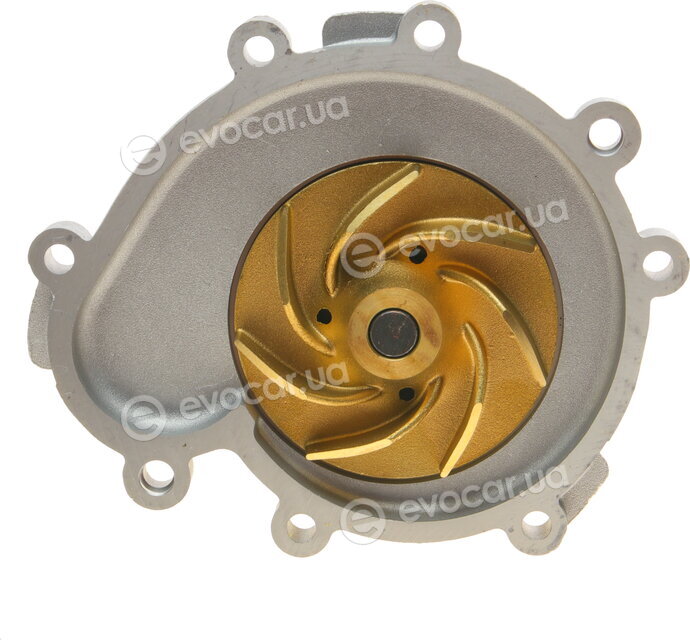 Hepu P594