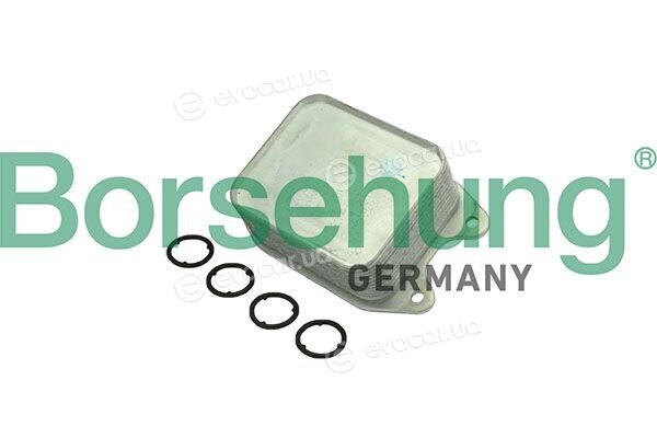 Borsehung B10888