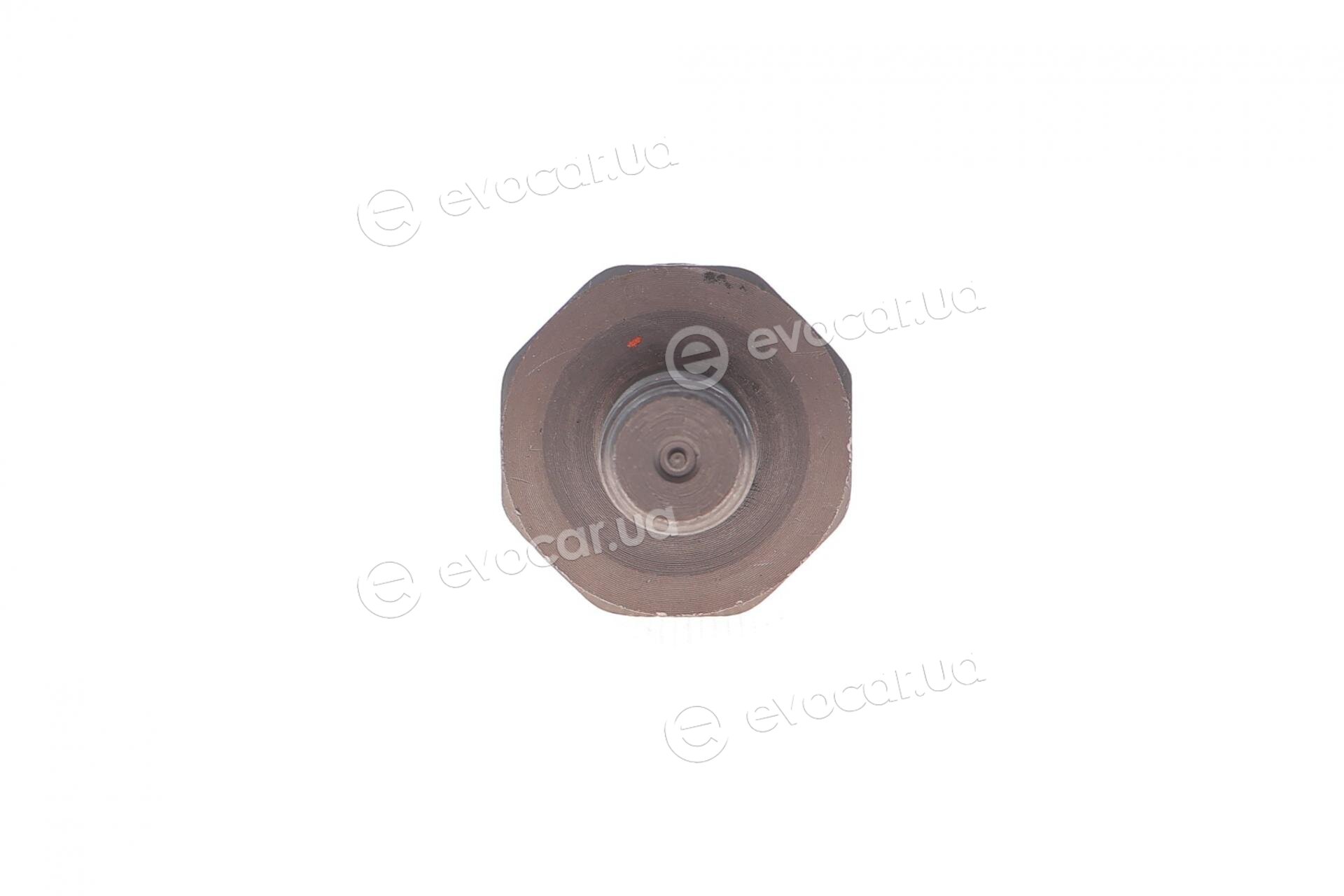 SKF VKDY 321017