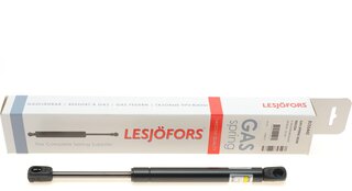 Lesjofors 8155442