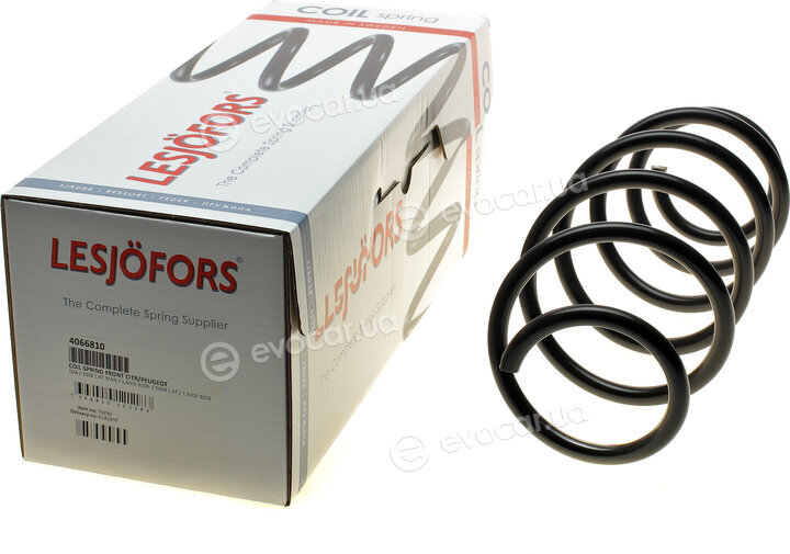 Lesjofors 4066810