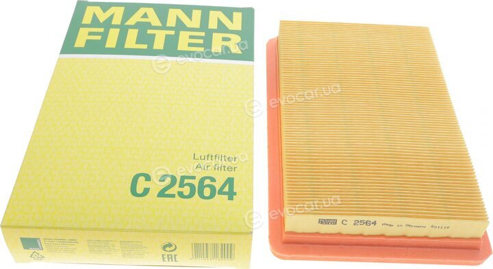 Mann C 2564