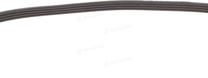 Dayco 4PK841