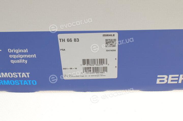 Mahle TH 66 83
