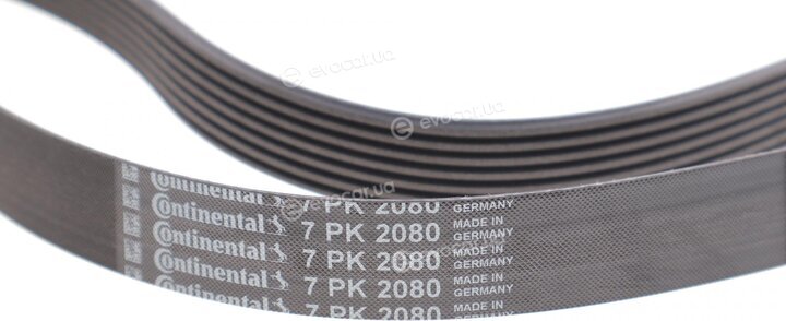 Continental 7PK2080