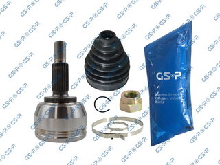 GSP 801571