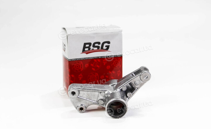 BSG BSG 60-615-006
