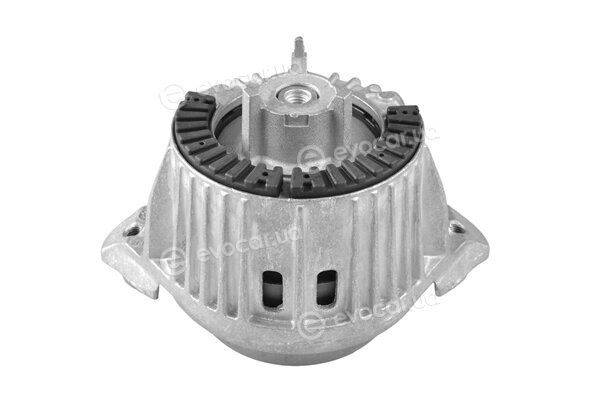 Tedgum TED83830