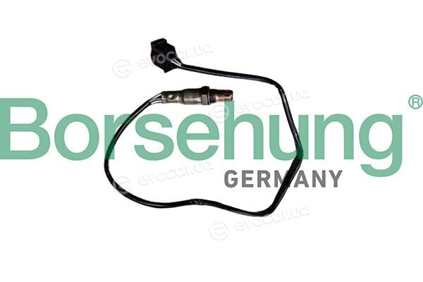 Borsehung B13178