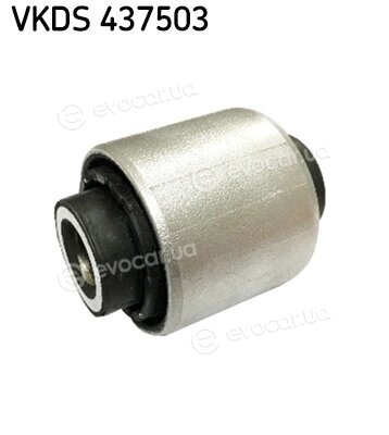 SKF VKDS 437503