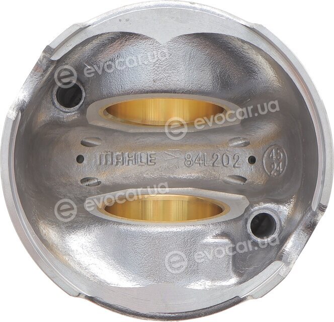 Mahle 081 PI 00119 000