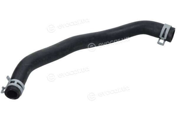 Thermotec DNG019TT