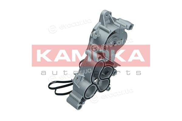 Kamoka T0287