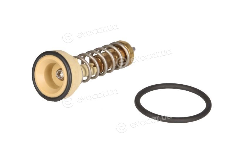 Mahle TX 209 80D