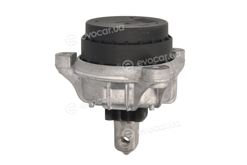 Reinhoch RH11-3079