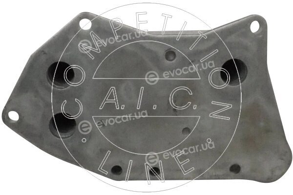 AIC 58133