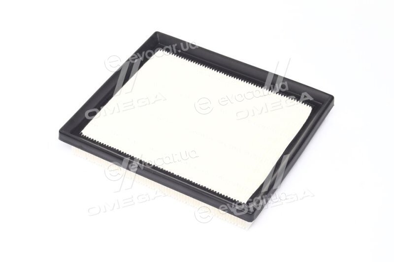 Champion CAF100937P