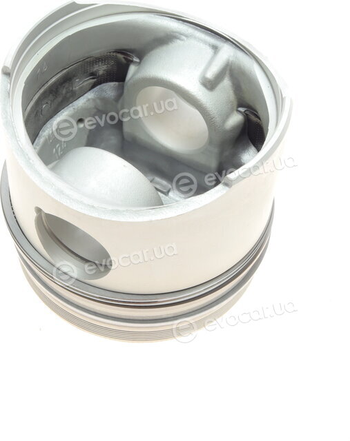 Mahle 029 55 01