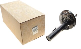 Renault / Nissan 543022329R