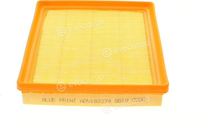 Blue Print ADV182274