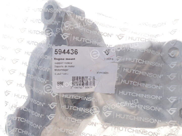 Hutchinson 594436