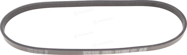 Dayco 4PK798EE