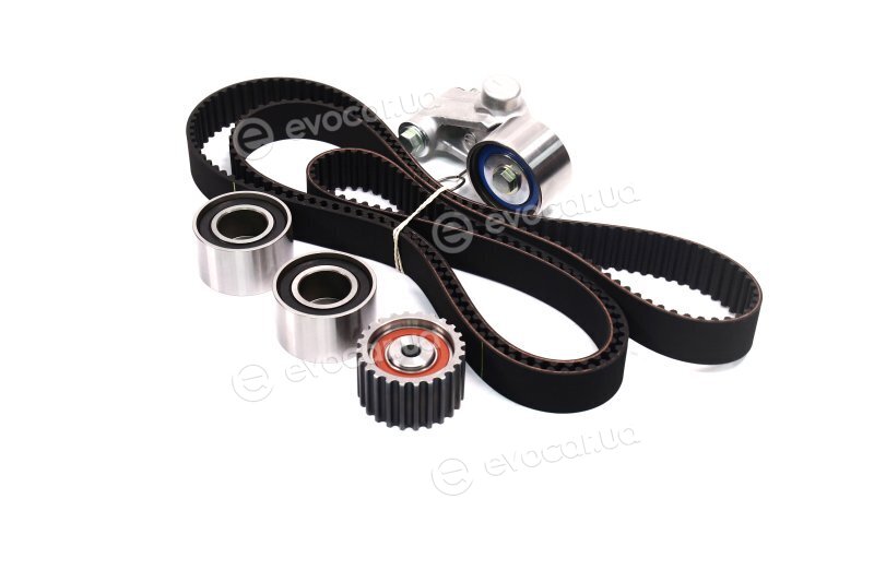 Gates K015384XS
