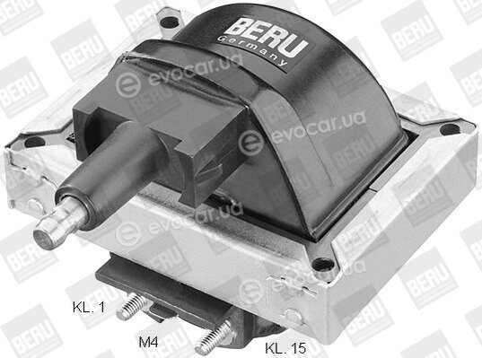 Beru ZS251