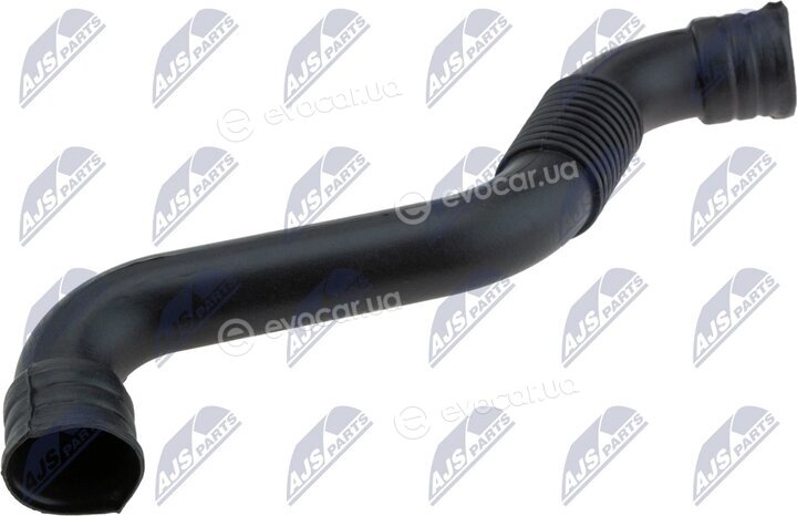 NTY GPP-AU-019