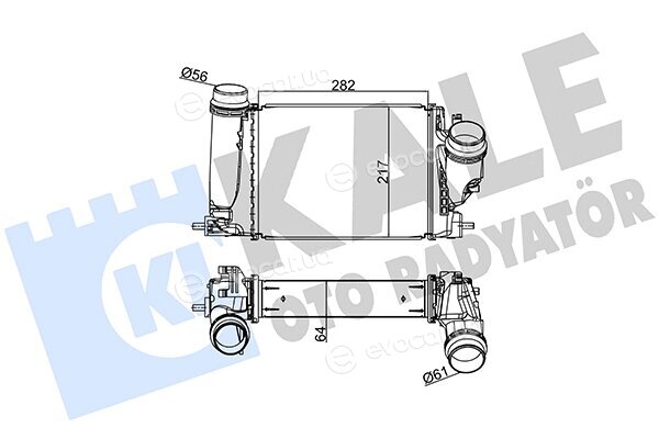Kale 350985