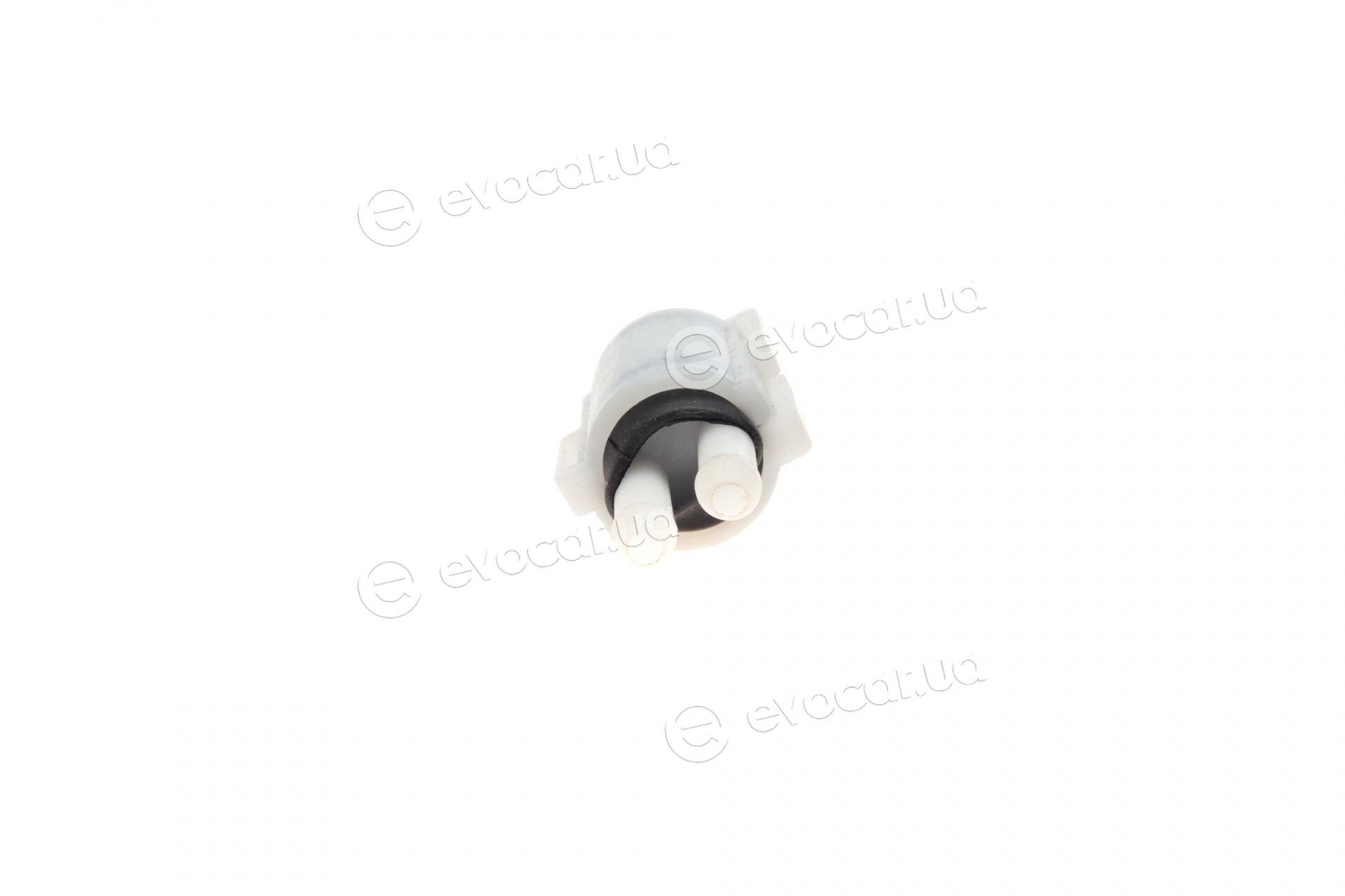 Solgy 307012