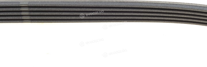 Continental 5PK1060