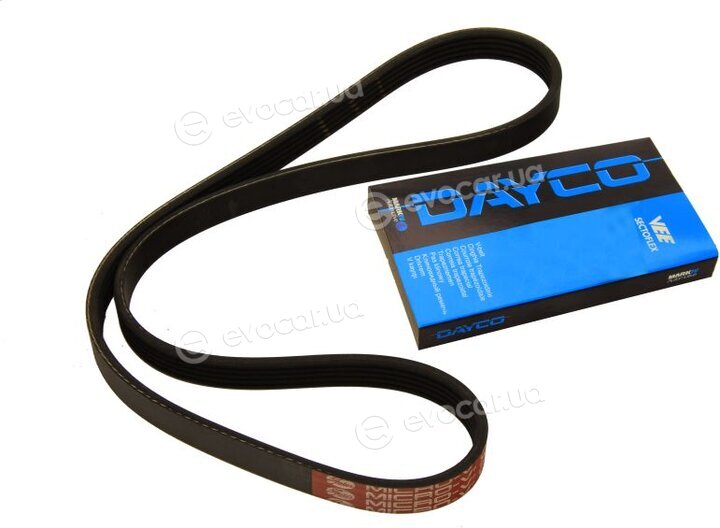 Dayco 5PK1000