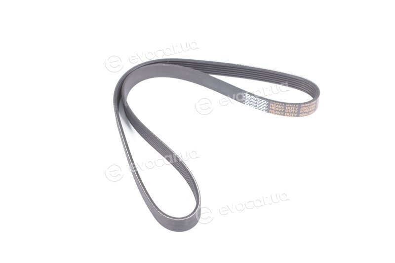 Dayco 6PK1013HD