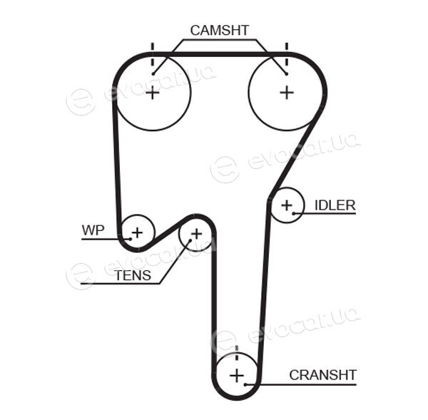 Gates K015533XS