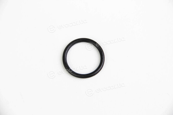 Elring 452.080