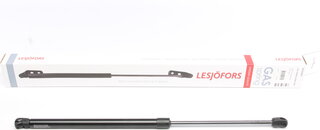 Lesjofors 8163427