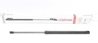 Lesjofors 8195048
