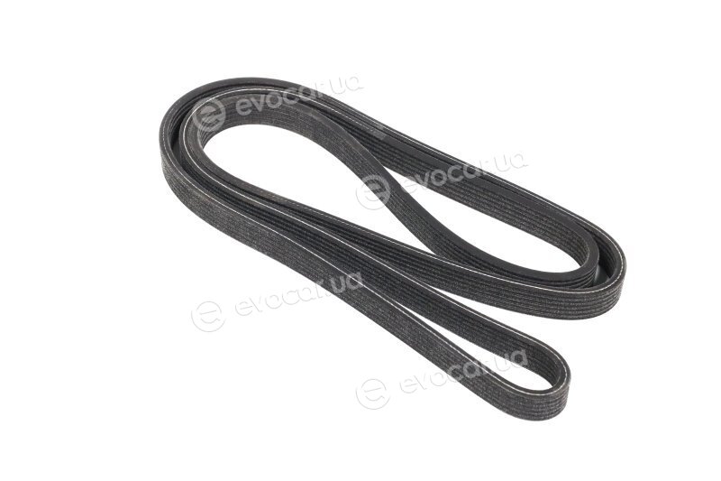 Dayco 6DPK1853