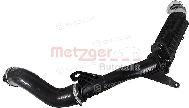 Metzger 2401179