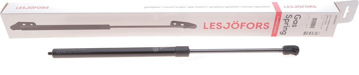 Lesjofors 8056839