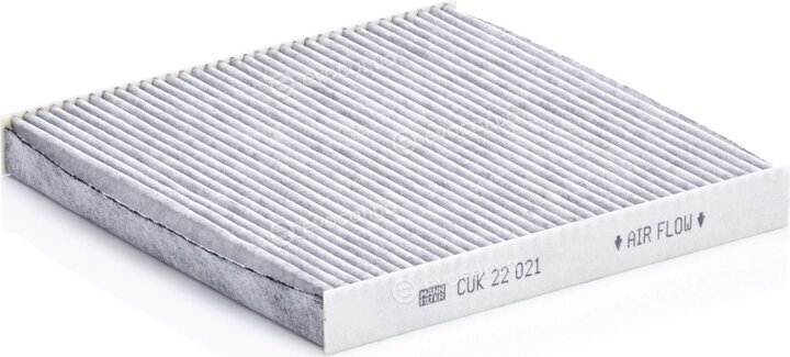 Mann CUK 22 021