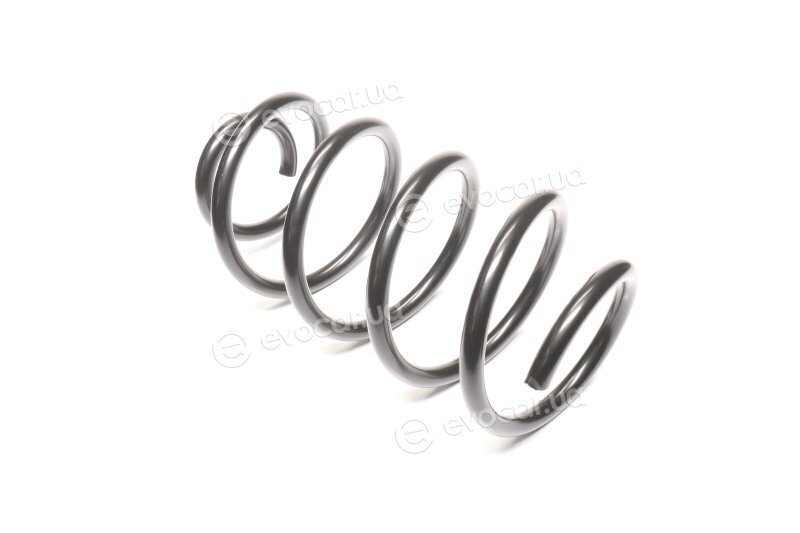 Lesjofors 4095070